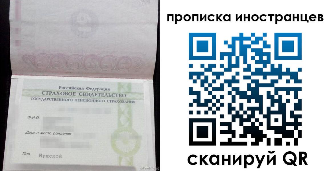 прописка гарантия в Стародубе